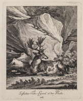 KG 01076
          <br/>
          Entwurf einiger Thiere. Vierter Theil. (16 bladen)
          <br/>
          <em>Ridinger, Johann Elias (1698-1767)</em>